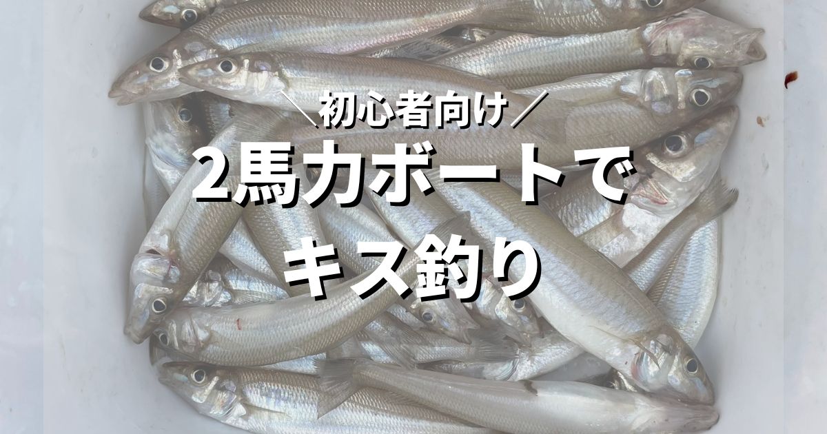 【初心者向け】2馬力ボートでキス釣り 